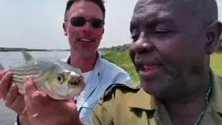Tigerfish at Murchison Falls