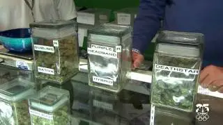 Marijuana in America (colorado pot rush)