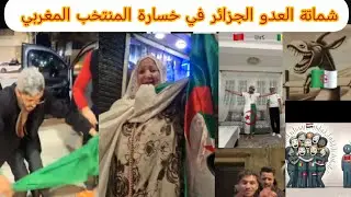  تعالو تشفو جارة  الجزائر و العرب بعد خسارة المنتخب المغربي في كأس أفريقيا #المغرب_الجزائر #الجزائر 
