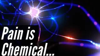 Pain is Chemical.  Treating a Nervous System.