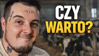 Czy warto zaczynać z bydłem mlecznym? Szczera odpowiedź 