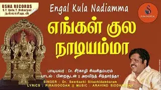 எங்கள் குல நாடியம்மா  | PATTUKKOTTAI  NADIYAMMAN SONG |  Aravind Siddhartha |    SURA MUSICAL