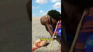 The inspiring history of the Somali nomads and their pivotal role in combating the slave trade.