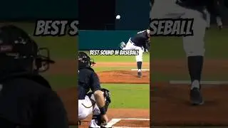 Best Sound in Baseball | #shorts