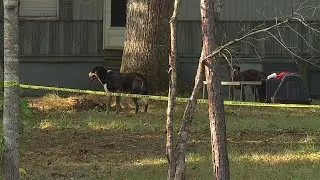 Crews on scene of Davidson County deputy-involved shooting