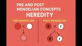 Lecture - 1 Pre and Post Mendelian Concepts of Heredity