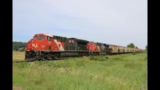CN 596 with Veteran heritage loco leading past McCullys.