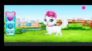 Pet Vet Care / Gameplay