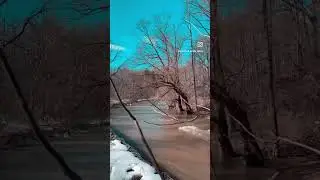 Relaxing water stream!! #nature #viral #winter #travel #viralvideo #hiking #canada