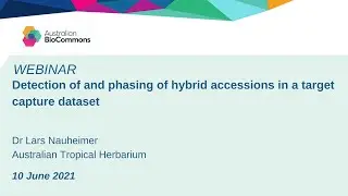Detection of and phasing of hybrid accessions in a target capture dataset