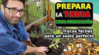 C&oacute;mo FERTILIZAR el Suelo y Lograr Tomates Super Productivos