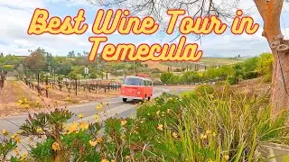 Van'N Boozy Temecula Wine Tours