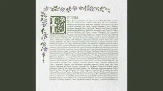 Lilium