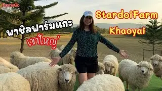 พาไปชิลกับน้องแกะสุดคิ้วท์สตาร์ดอยฟาร์ม เขาใหญ่ | แนะนำเส้นทางลัดมวกเหล็ก-เขาใหญ่ | TannieGo EP.58