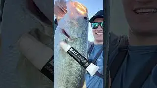 Testing out the New Ghost Bait Pop #baitpop #fishing