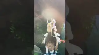 //клип // девочка и море // star stable //￼ ССО// стар стейбол