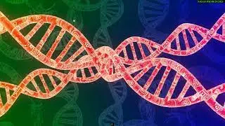 DNA Secrets Revealed: How to Find Your Lost Family History