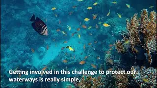 goIT Monthly Challenge: Protect Our Waterways