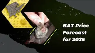 Basic Attention Token Price Prediction 2023, 2025, 2030  What will BAT be worth