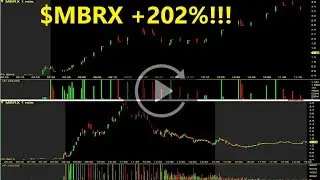 MBRX Stock Replay +202% Moleculin Biotech Inc Stock Review