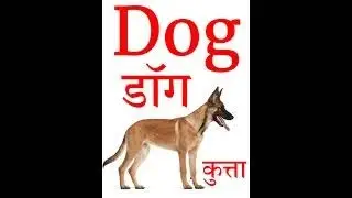 Dog hindi meaning with photo