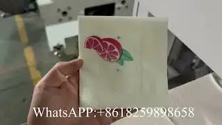 Serbia 250mm Double Embossing Color Printing Napkin Tissue Paper Making Machine