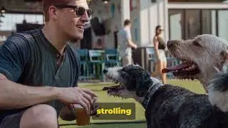 Top 5 Dog Friendly Cities