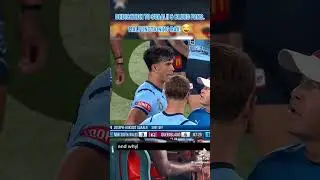 Dedication to NSW Blues fans 😂 #shorts #nrl #stateoforigin