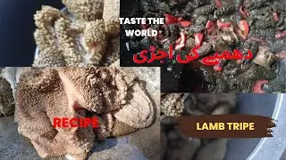 Ojri (tripe) Recipe | Lamb ojri cleaning and cooking | Boti ka salan banany ka tariqa