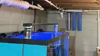 Auto Water Change Fish Room / Discus Breeding Room Setup Part 1