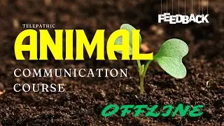 Telepathic Animal communication Course | Nov 2024 | Vaibhavi Amre | @thheemprress
