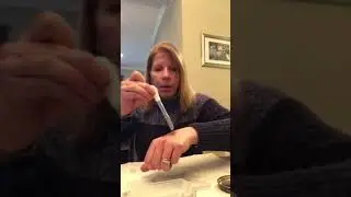Basic H2 Demonstration 2