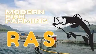RAS Fish Farming in Telugu | Recirculating Aquaculture System | Future of Aquaculture India