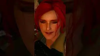 The Witcher 3: Wild Hunt - Triss & Geralt Before Battle