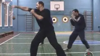 Mantis Boxing