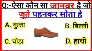 कौन सा जानवर जूते पहनकर सोता है | Kaun Sa Janwar Jute Pahankar Sot Hai | Gk | Gk Questions