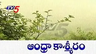 Lambasingi, Kashmir of Andhra Pardesh | Cool Climate with Snowfall attracts Tourists | TV5 News