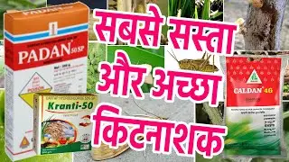 Padan Coromandal/Cartap Hydrochloride50%SP/Cristal Nidan/Caldan Dhanuka/