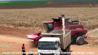 Galana Kulalu Food Security Project under PPP Seed Maize Harvest Launched!