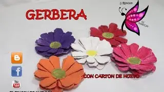 GERBERA O MARGARITA AFRICANA con carton de huevos