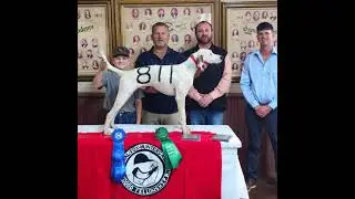 Episode 95: Paul West & Lakehills Kennels (Part 1)