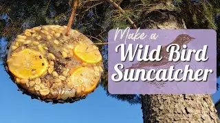 Wild bird Suncatcher