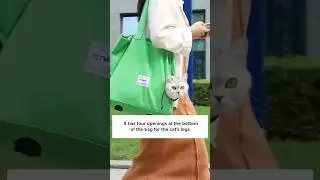 Позвольте вашей кошке исследовать мир со стилем! 🧳