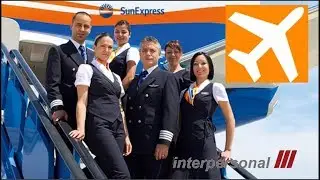 So bewerbe ich mich zum Flugbegleiter!
