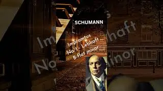Schumann: Impromptus No. 1 in B-flat minor - Burhan Erdemir