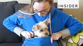 Carry Your Pets In This Hoodie