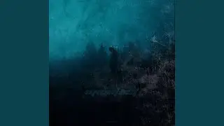 Manifest