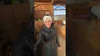 Machst du auch #mealprep #horse #equestrianjourney #pferdefutter #pferdef&uuml;tterung #reitsport #pferde