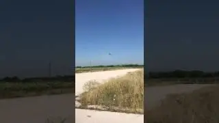 Align Trex600N DFC - tuning flight