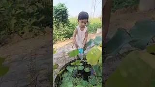 ফুলে জল দেয় কেউ 🤣🙆&zwj;♂️#comedy #cutebaby #youtubeshorts #funny #trending #ytshorts #status #newvideo